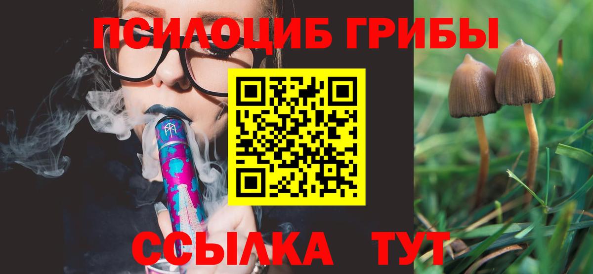 Подольск  Псилоцибиновые грибы MAGIC MUSHROOMS  Вход с VPN 